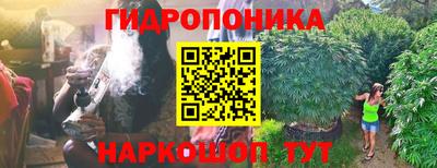 спиды Лесосибирск